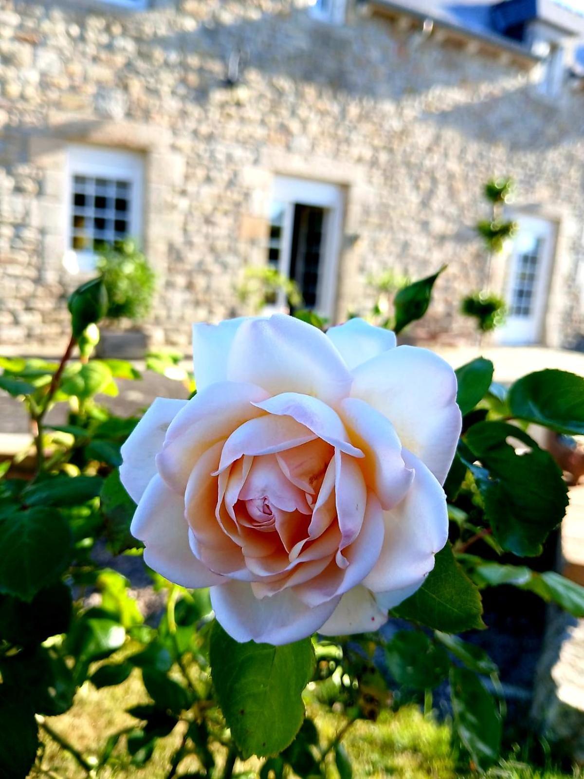 Gite En Campagne Lamegritniere Luaran gambar